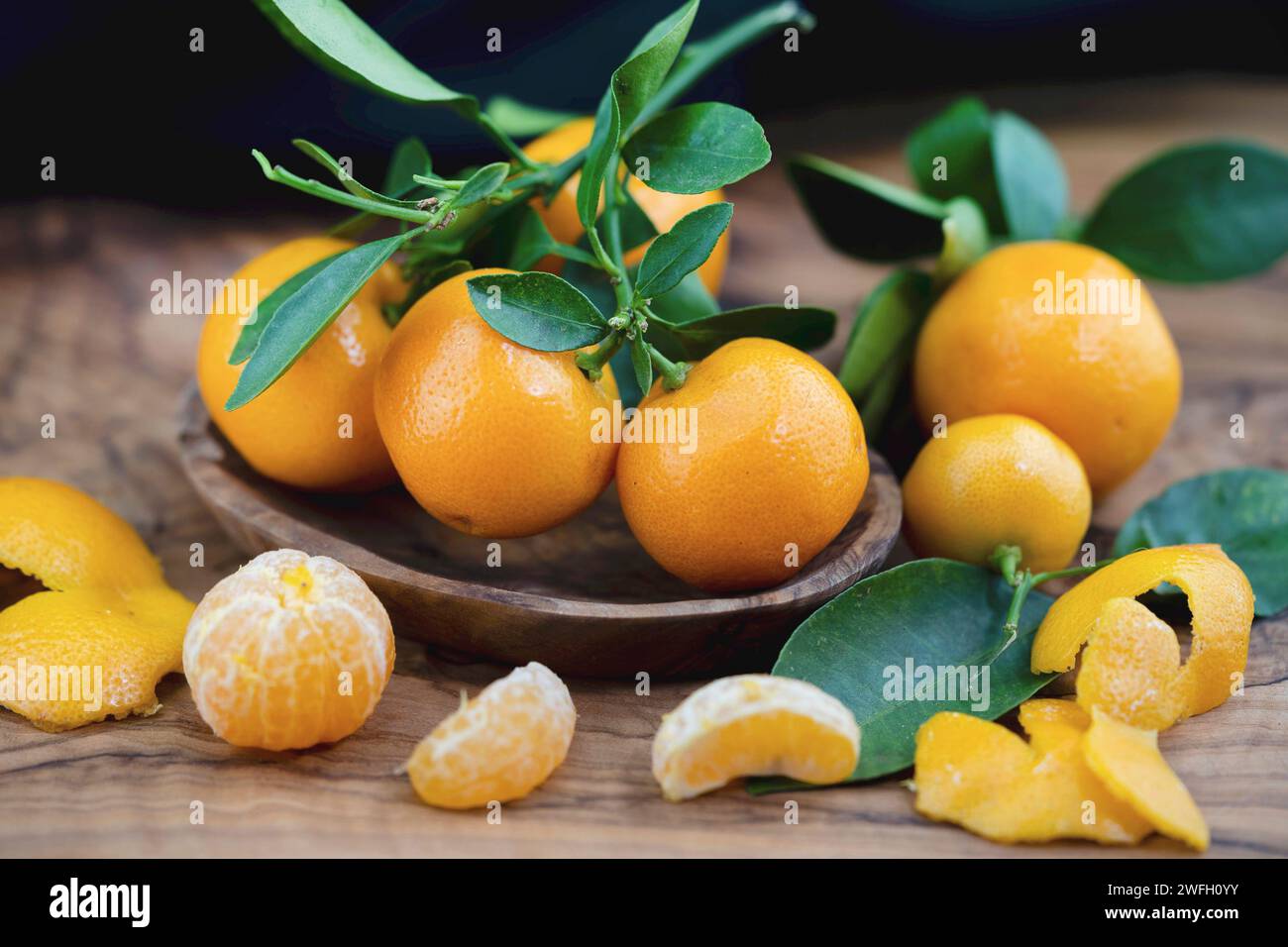 Calamondin, Calomondin, Camalmansi (Citrus madurensis, Citrofortunella microcarpa, Citrus fortunella, Citrus mitis), Fruit on a plate on the table Stock Photo