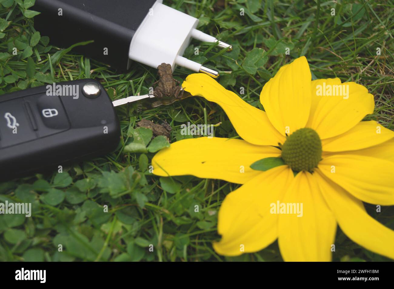 car key, power plug and yellow flower in a meadow, symbol for emobility Stock Photo Alamy