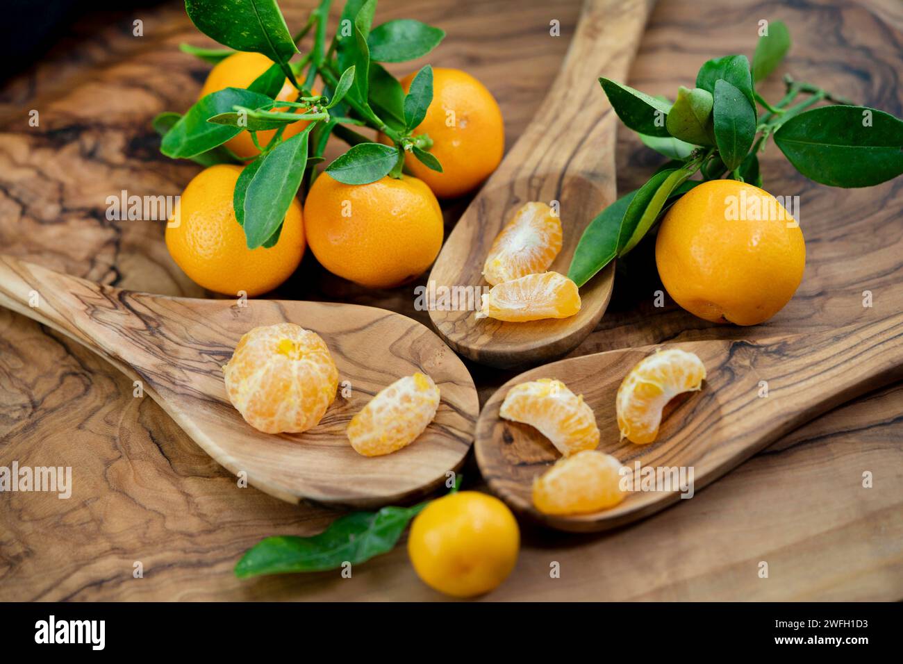 Calamondin, Calomondin, Camalmansi (Citrus madurensis, Citrofortunella microcarpa, Citrus fortunella, Citrus mitis), Fruit on wooden spoons on the tab Stock Photo