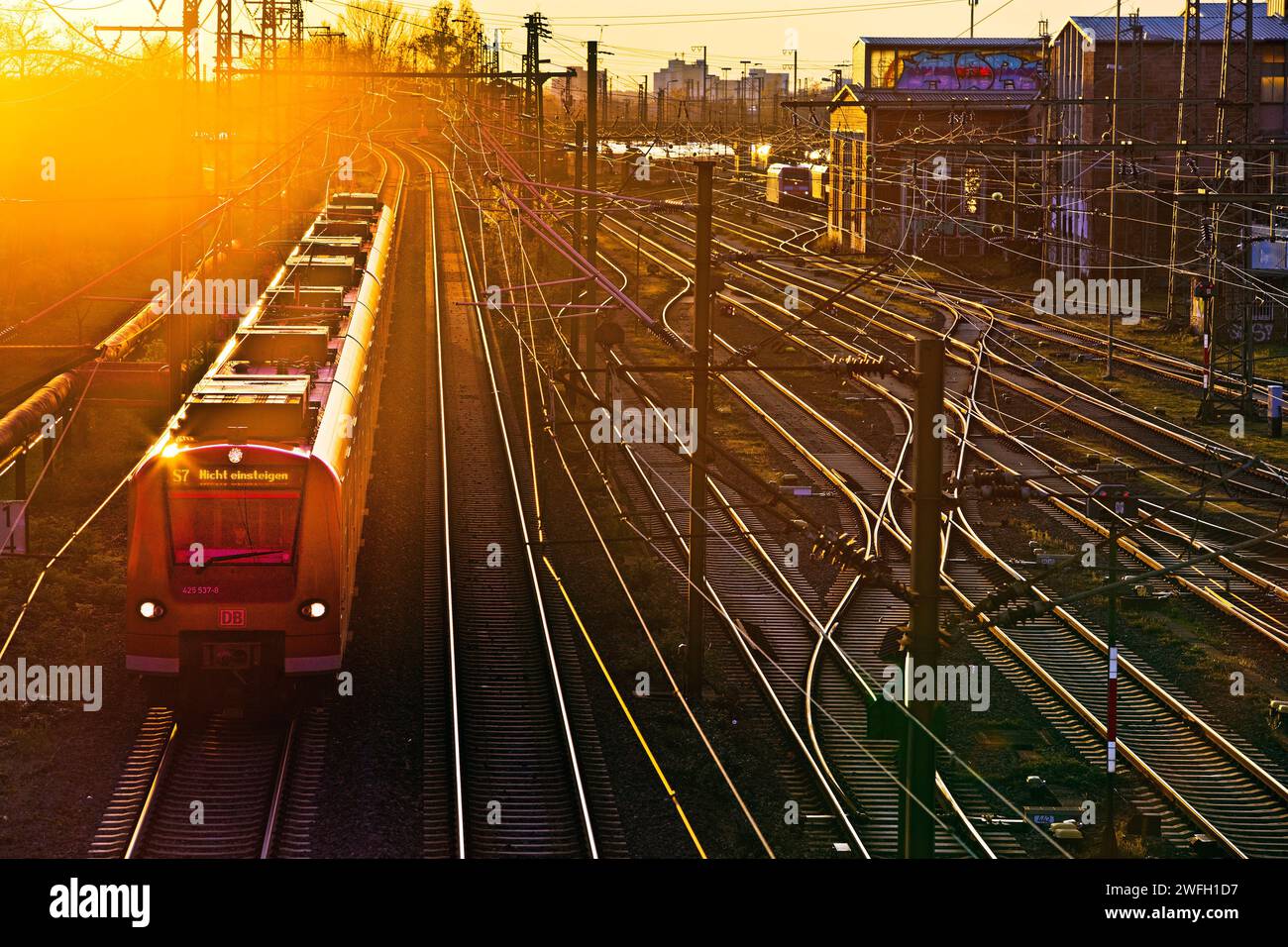 Local train at sunset, Germany, Hesse, , Frankfurt am Main Stock Photo