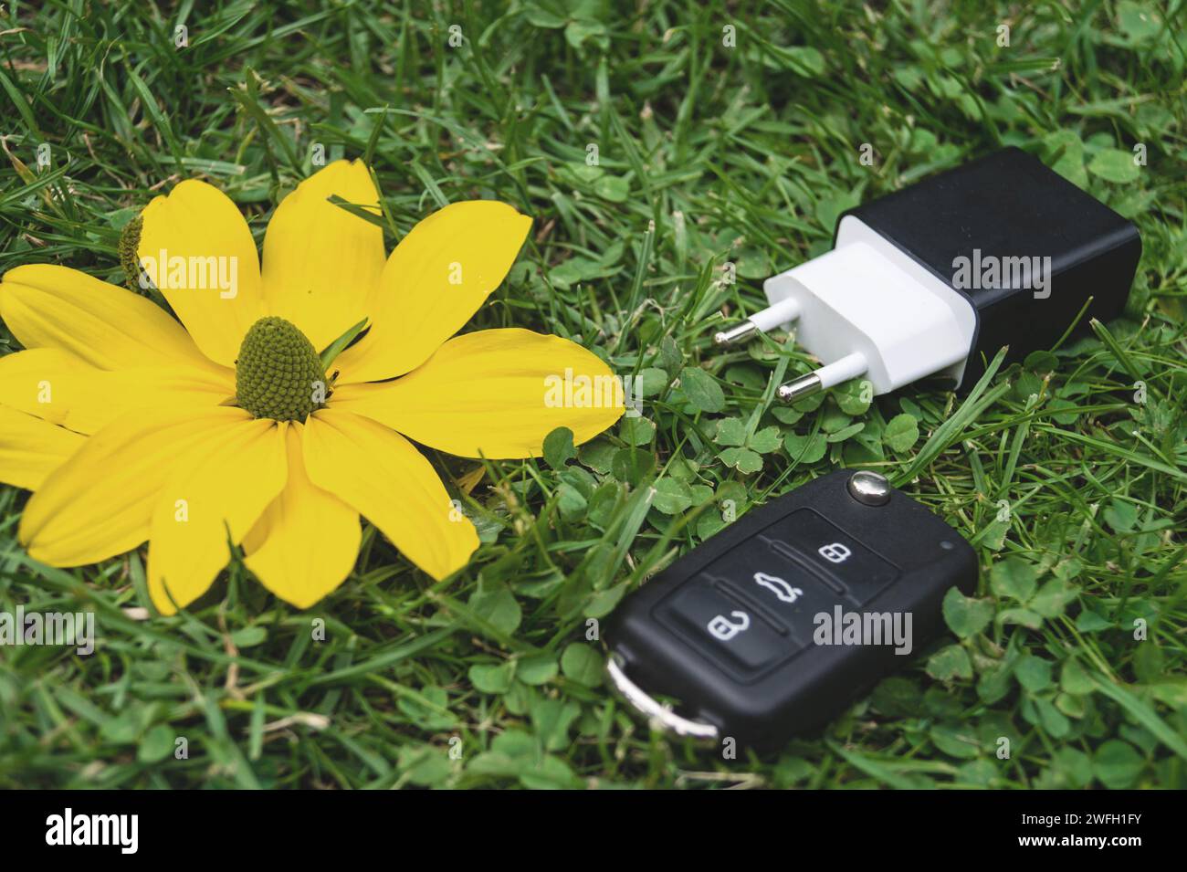 car key, power plug and yellow flower in a meadow, symbol for e-mobility Stock Photo