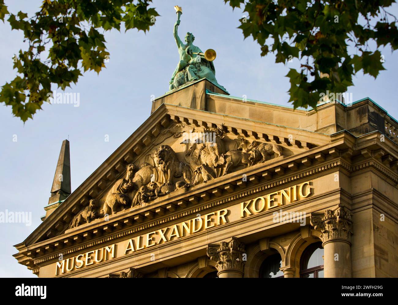 Museum Koenig, detail, Germany, North Rhine-Westphalia, Bonn Stock Photo