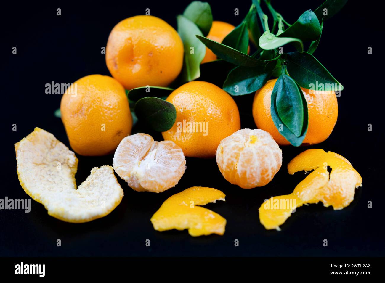 Calamondin, Calomondin, Camalmansi (Citrus madurensis, Citrofortunella microcarpa, Citrus fortunella, Citrus mitis), Fruits on a black background Stock Photo