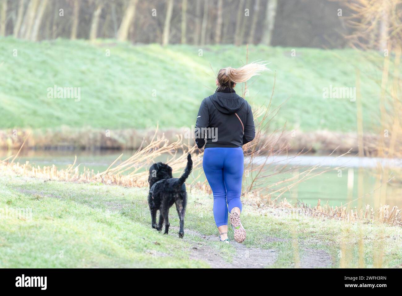 Kidderminster, UK. 31st January, 2024. UK weather: Early morning frost and freezing temperatures across the Midlands doesn't stop the eager runners and their trusty hounds getting outside for some fresh frosty air and exercise. Credit: Lee Hudson/Alamy Live News Stock Photo