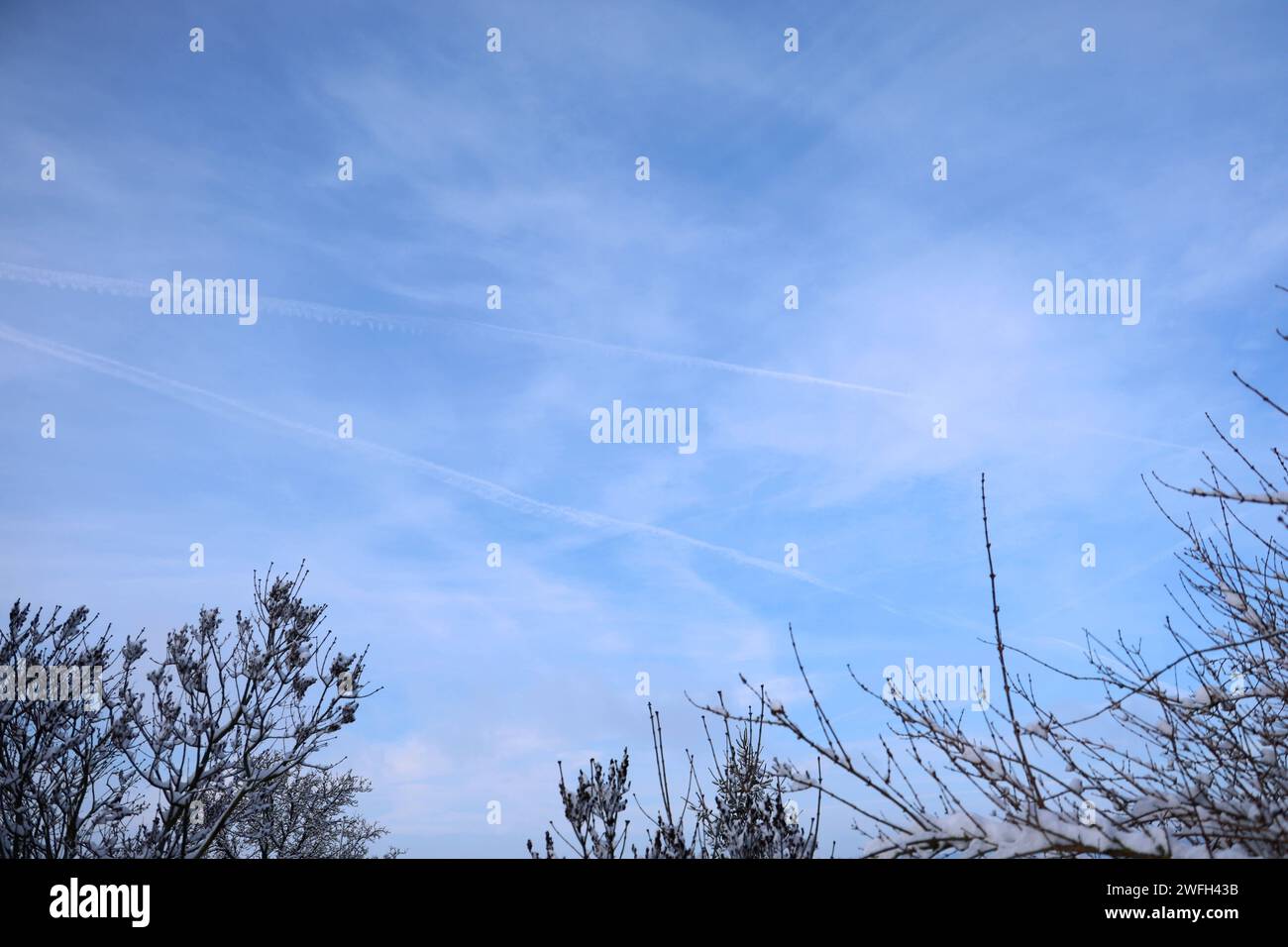 Winter 18.01.2024, Ostramondra, Kondensstreifen am Himmel *** Winter 18 01 2024, Ostramondra, Contrails in the sky Stock Photo