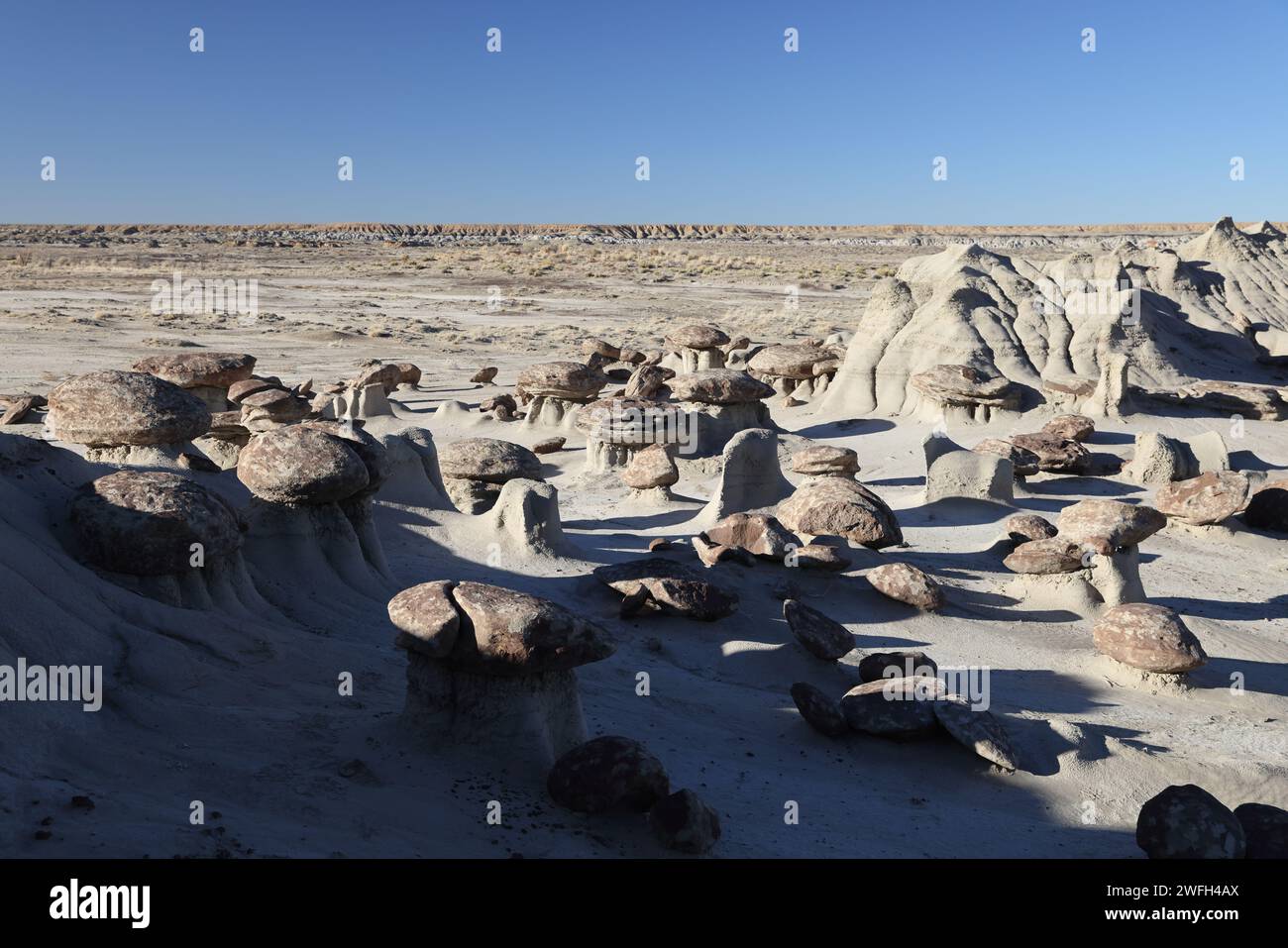 Bisti Badlands De na zin Wilderness Area New Mexico Stock Photo Alamy bisti-badlands-de-na-zin-wilderness-area-new-mexico-stock-photo-alamy