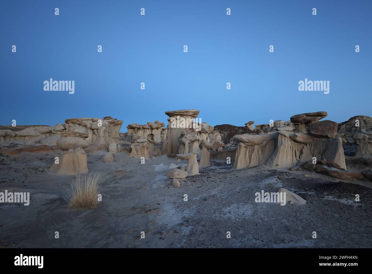 Strange Rock Formation in Bisti Badlands (Alien Throne) New Mexico ...