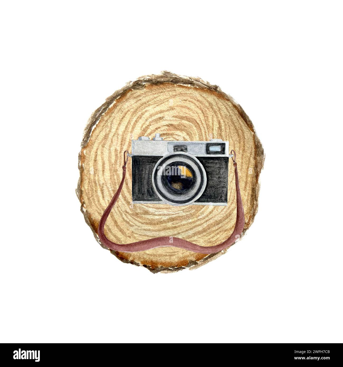 Tree Camera Drawing Watercolor vintage camera tree stump composition isolated on white ...