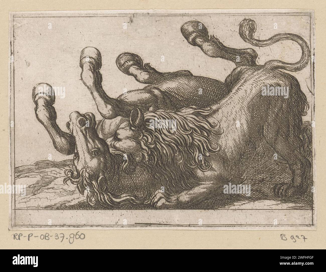 A lion biting the neck of a horse, Antonio Tempesta, 1600 print  print maker: Italypublisher: RomeVaticaanstadItaly paper etching fighting. horse. beasts of prey, predatory animals: lion Stock Photo