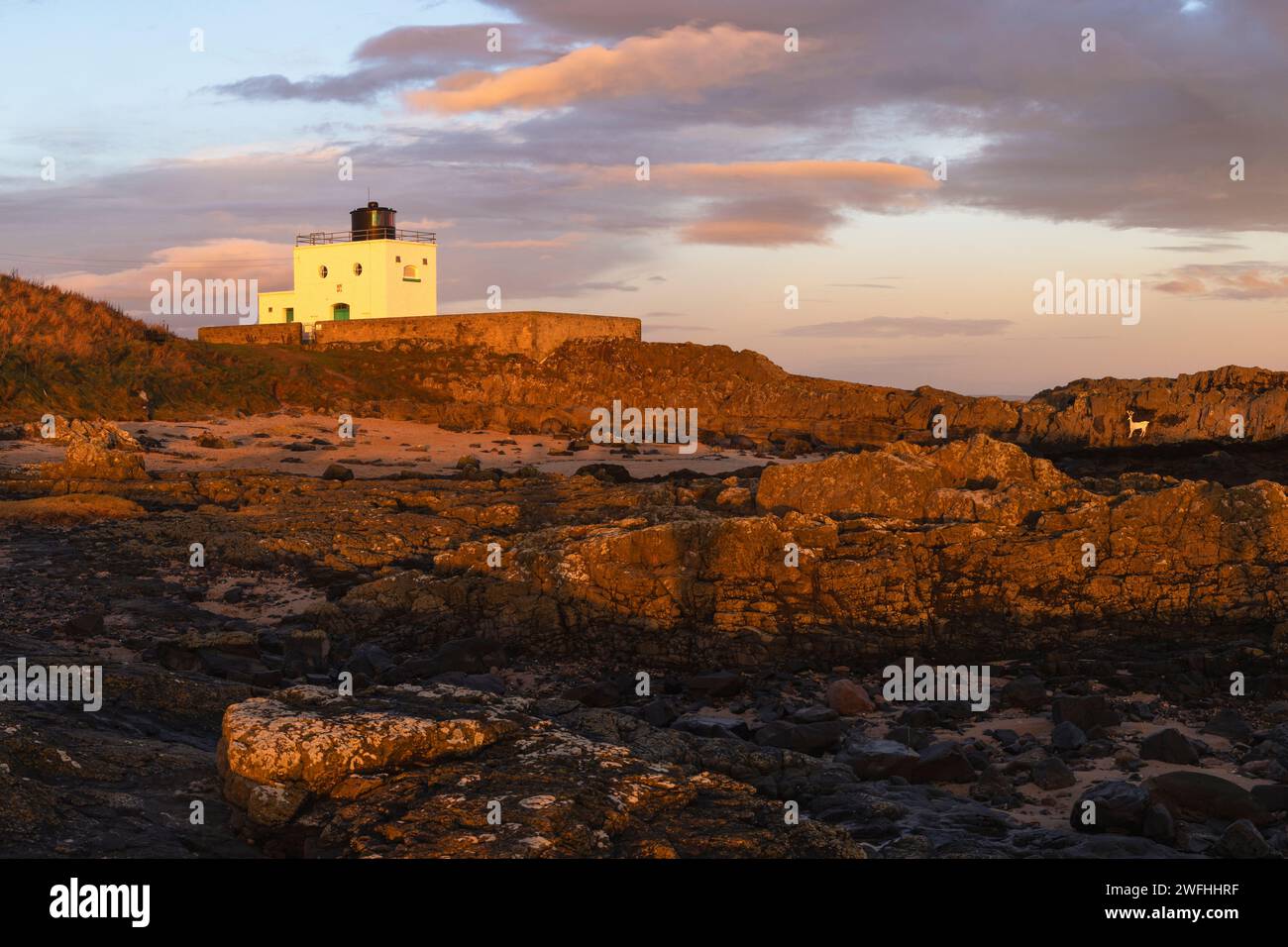 Sunrise colours over Stag Rock Lighthouse, Bamburgh, Northumberland, UK Stock Photo