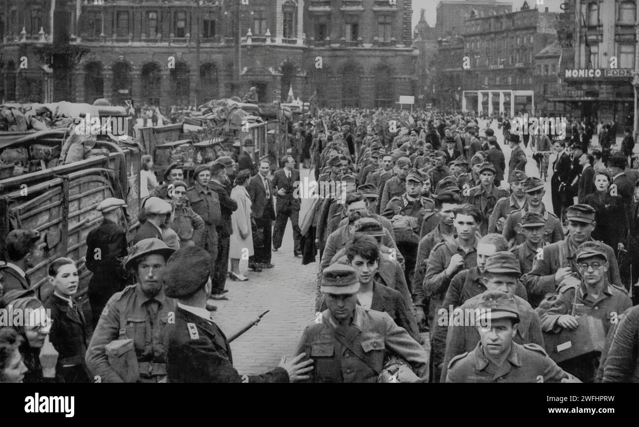Some of the 2,000 German prisoners taken following the Allies surprise assault on Antwerp, Belgium on the 4th September 1944 during the Second World War Stock Photo