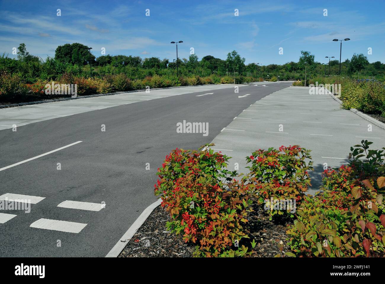 Empty spaces in the car park at Britford Park and Ride, near Salisbury, Wiltshire. Stock Photo