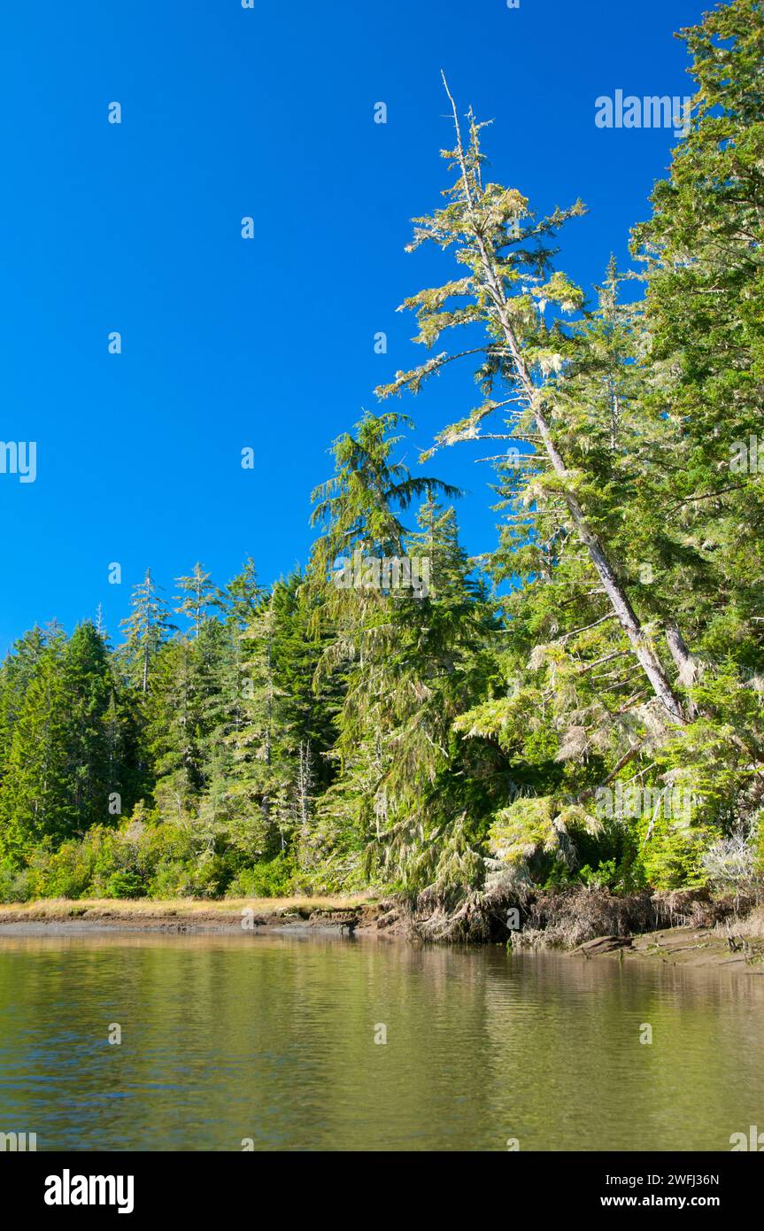 South Slough, South Slough National Estuarine Research Reserve, Oregon ...