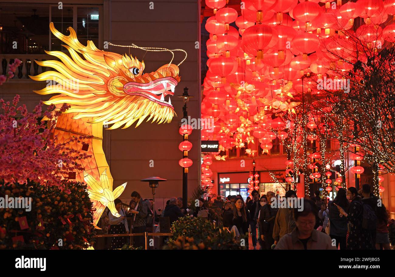 Hong Kong, China. 31st Jan, 2024. Spring Festival decorations are seen