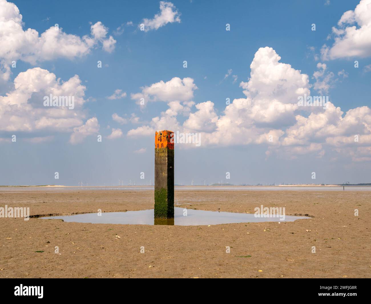 Wooden beach pole with red top in puddle at low tide - distance marker along basic coastline indicating tide line of North Sea, Goeree, South Holland, Stock Photo