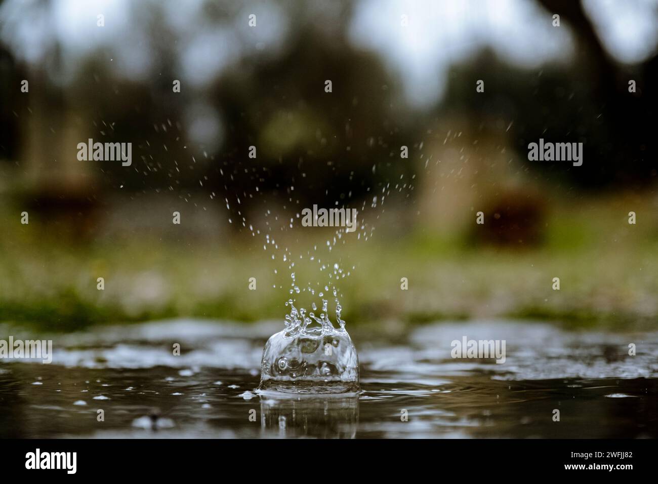 Gocce di poesia nell'istante: la grazia di una singola goccia d'acqua e i suoi schizzi, un'arte liquida congelata Stock Photo