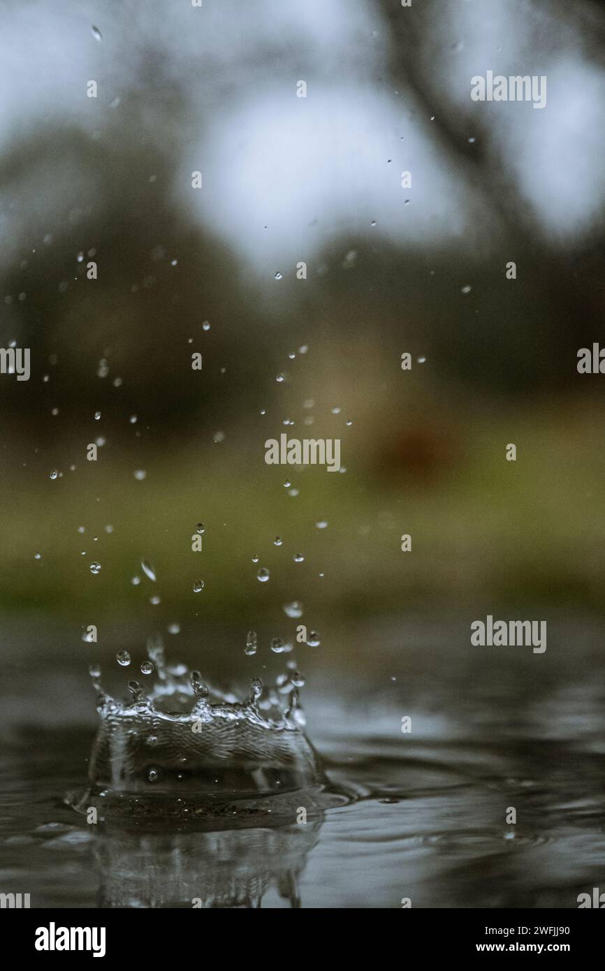 Gocce di poesia nell'istante: la grazia di una singola goccia d'acqua e i suoi schizzi, un'arte liquida congelata. Stock Photo