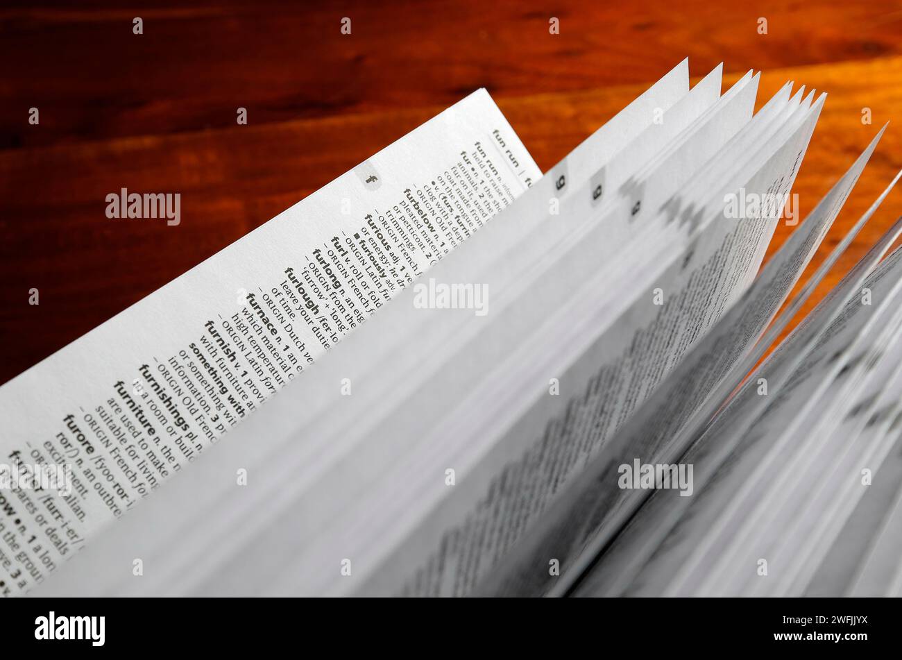 english dictionary pages in opened book Stock Photo