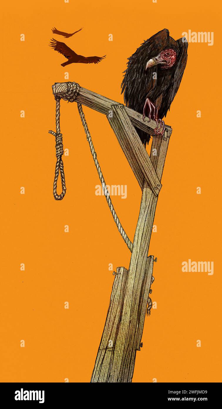 Animal art Hooded Vulture, perched on gallows, concept, Wild West, scavengers, death, disease, movie tropes, portents of doom, preying on others Stock Photo