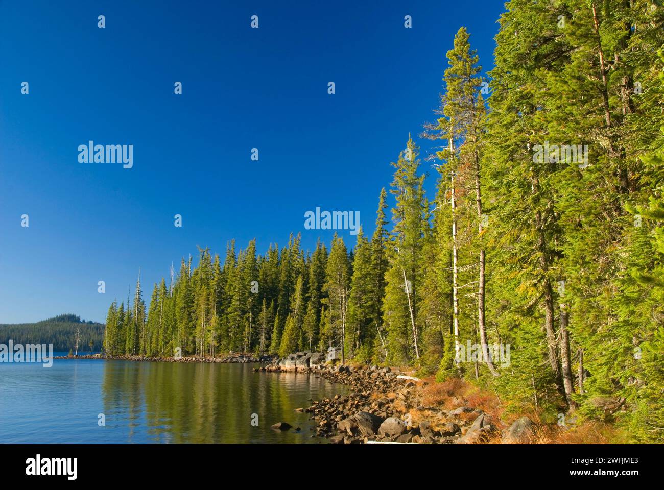 North Waldo Lake Camping | The Dyrt North Waldo Lake Camping | The Dyrt