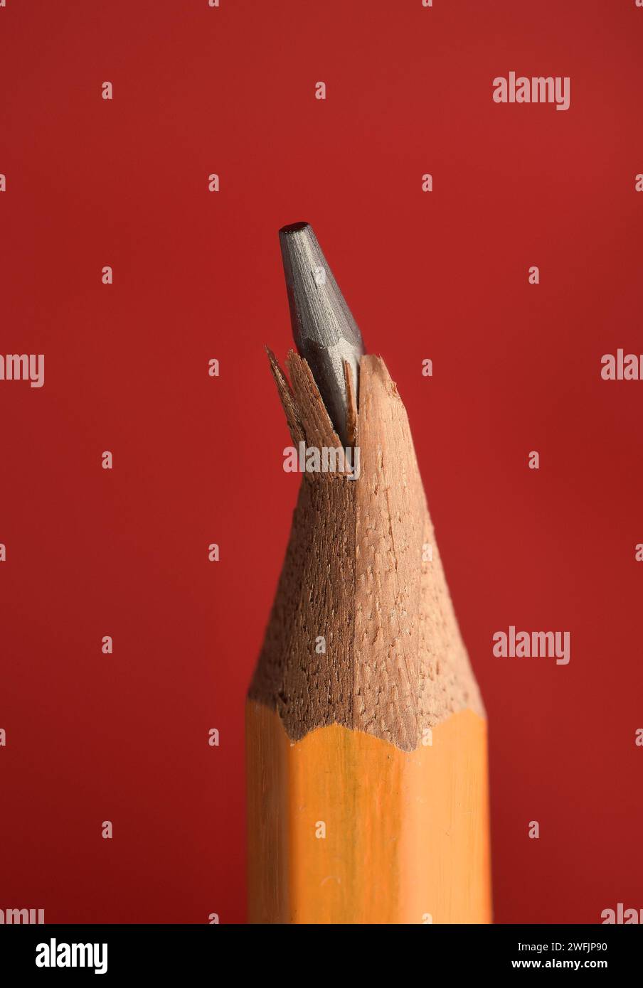 Details of broken wooden pencil tip or graphite. Isolated on red background. Broken object as a visual metaphor for fracture or crack. Close Up. Stock Photo