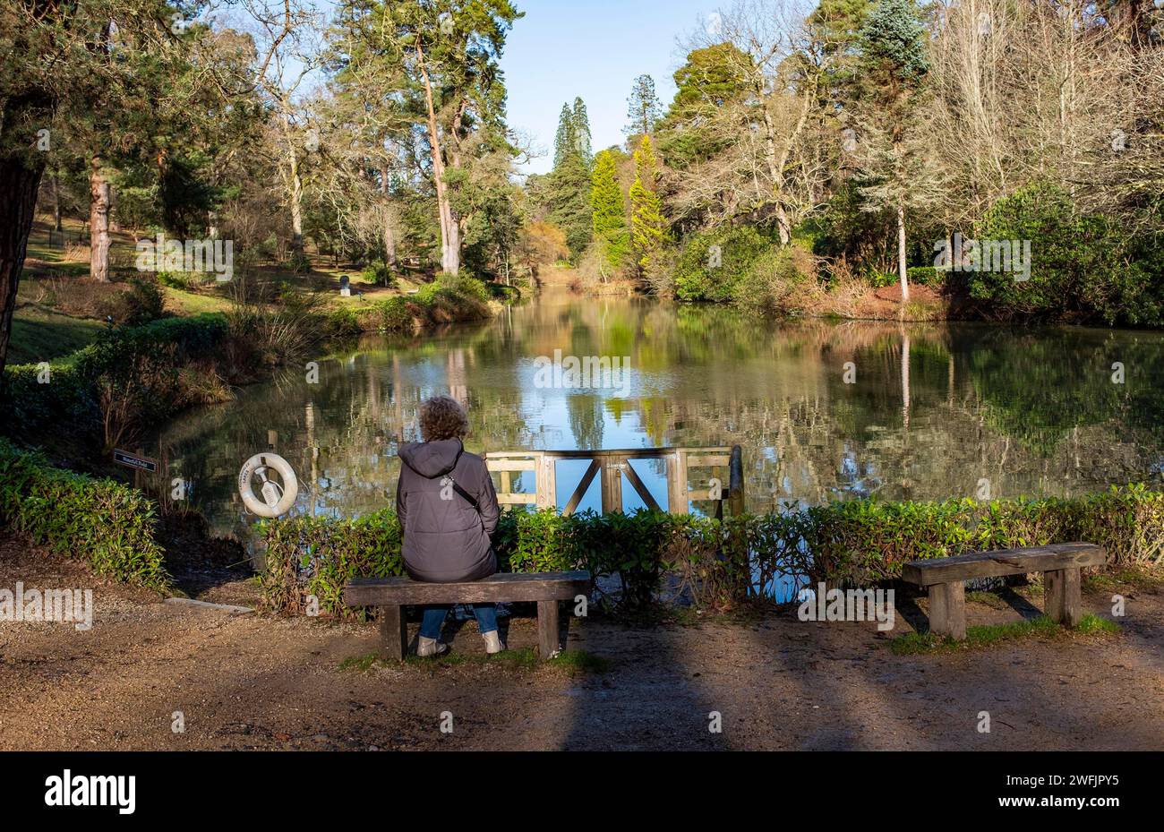 A visitor looking out over one off the lakes at Leonardslee Gardens and sculpture park at Lower Beeding near Horsham , West Sussex , England UK   Cred Stock Photo