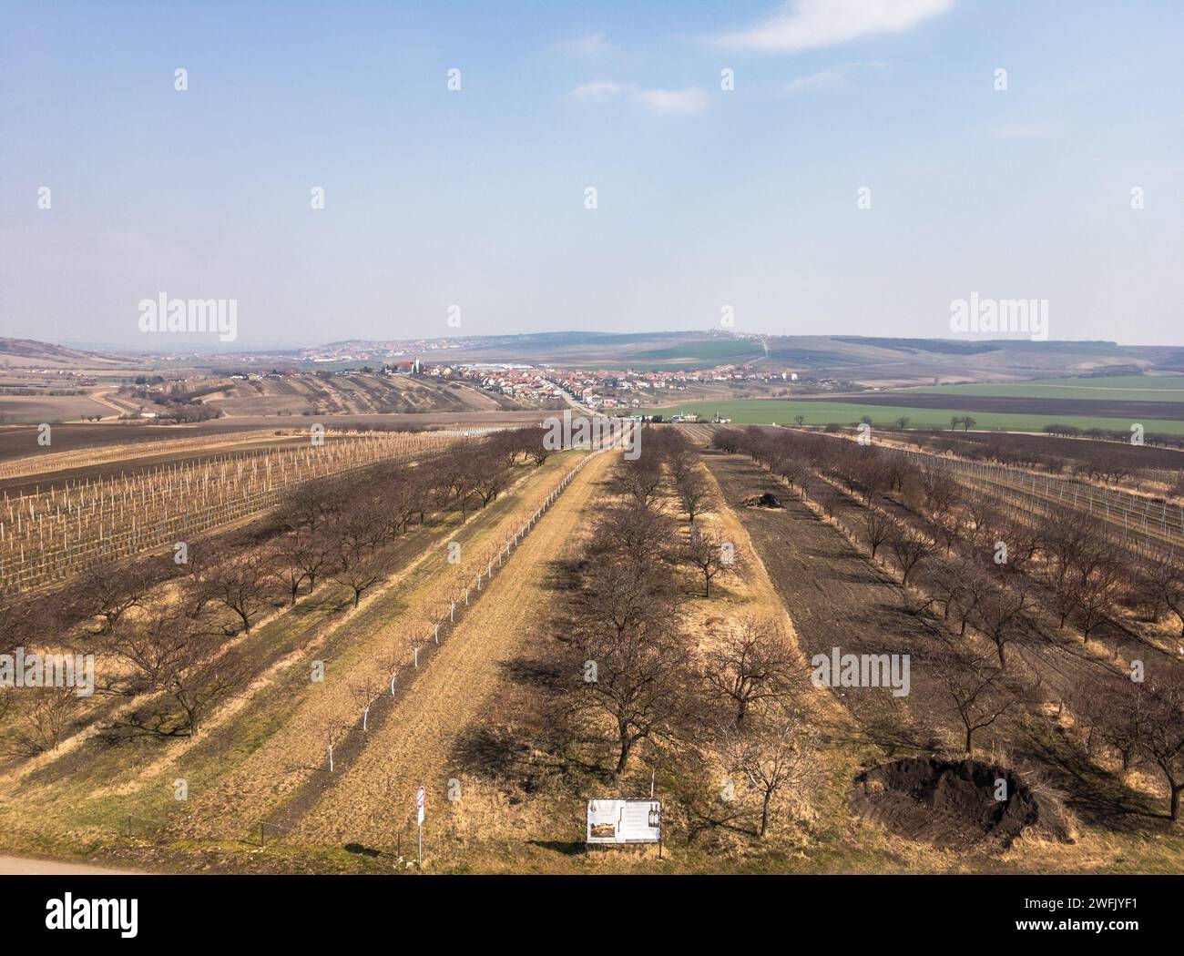 Landscape of vineyards in Southern Moravia near Velke Pavlovice, Czech Republic Stock Photo