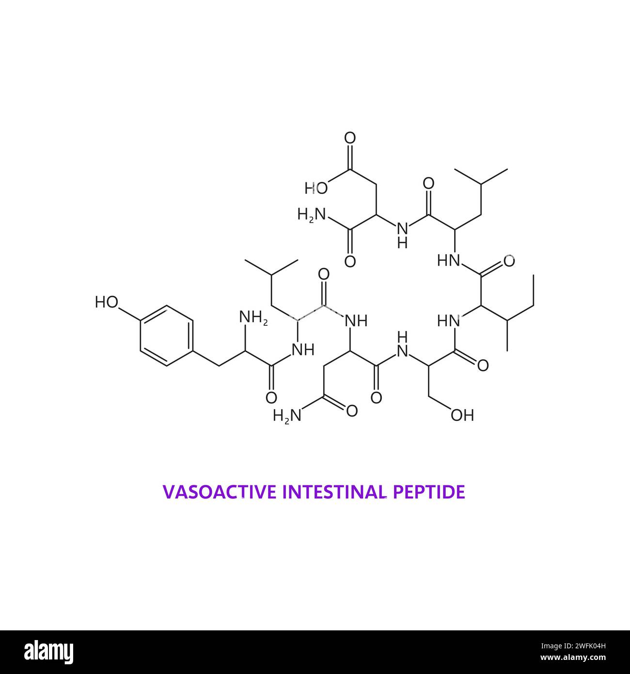 Neurotransmitter chemical formula of vasoactive intestinal peptide Neurotransmitter chemical formula of vasoactive intestinal peptide