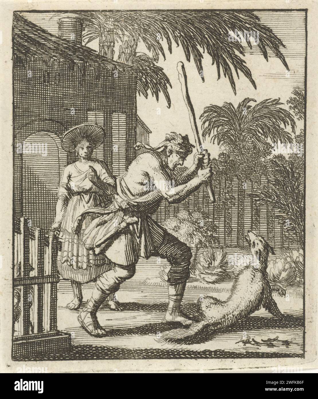 Fox killed by a man with a stick, Jan Luyken, 1693 print  Amsterdam paper etching beasts of prey, predatory animals: fox. man killing animal Stock Photo