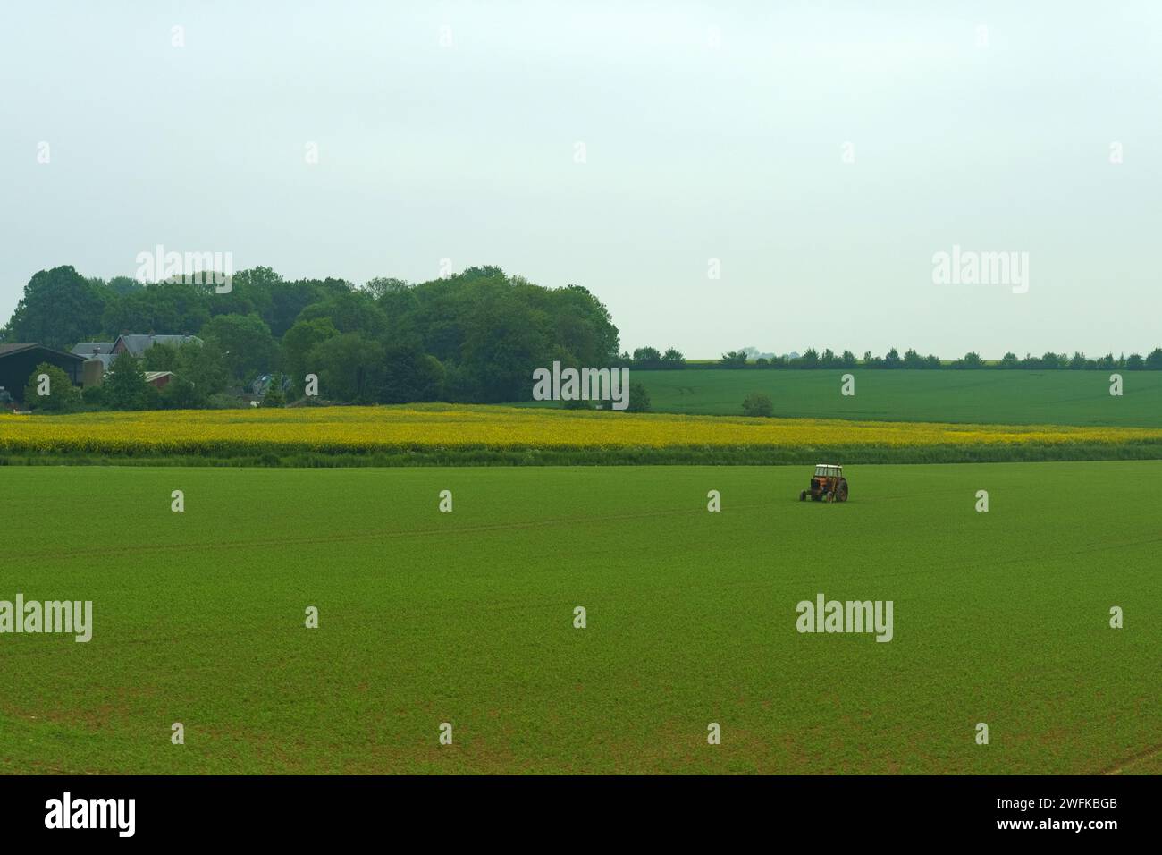 An old red agricultural tractor stands on a field with green grass in ...