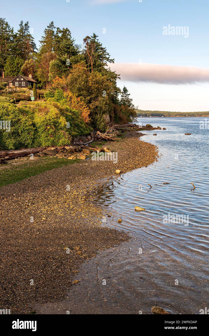 Vertical image of the shoreline of Penn Cove at Coupeville, Whidbey Island, Washington State, with a rocky beach below a tree-covered bluff. Stock Photo