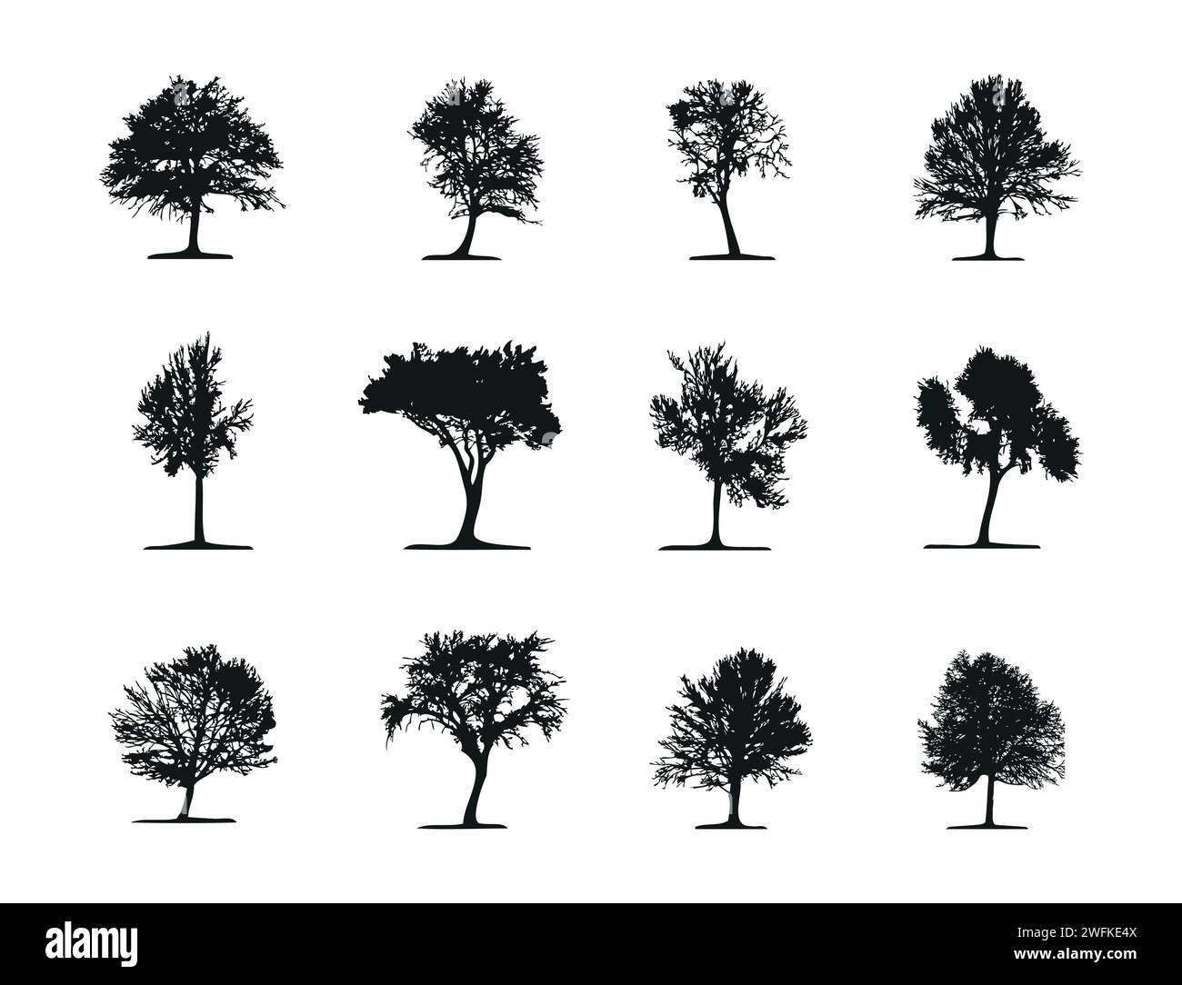 Set of 12 deciduous trees silhouettes Stock Vector Image & Art Alamy