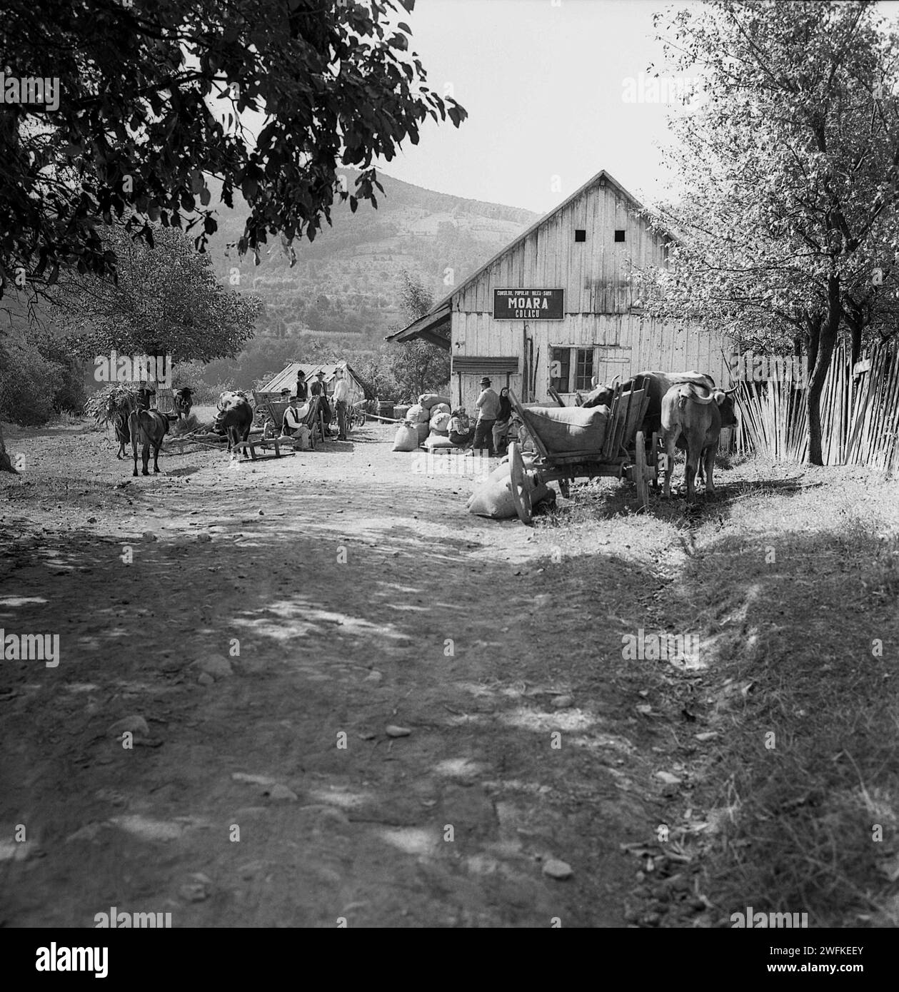 Vrancea County, Socialist Republic of Romania, approx. 1977. Peasants waiting outside a mill house for their turn to have the grains milled. Stock Photo