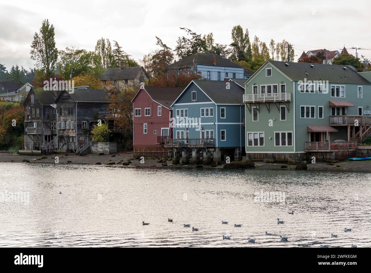 Colorful historic wooden buildings built on pilings jut out into the water at penn cove in coupeville whidbey island washingt Colorful historic wooden buildings built on pilings jut out into the water at penn cove in coupeville whidbey island washingt