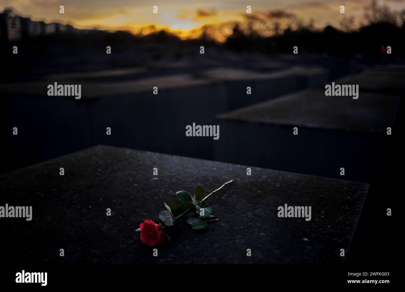 Deutschland, Berlin, 27.01.2024, Holocaust Mahnmal, Jahrestags der ...