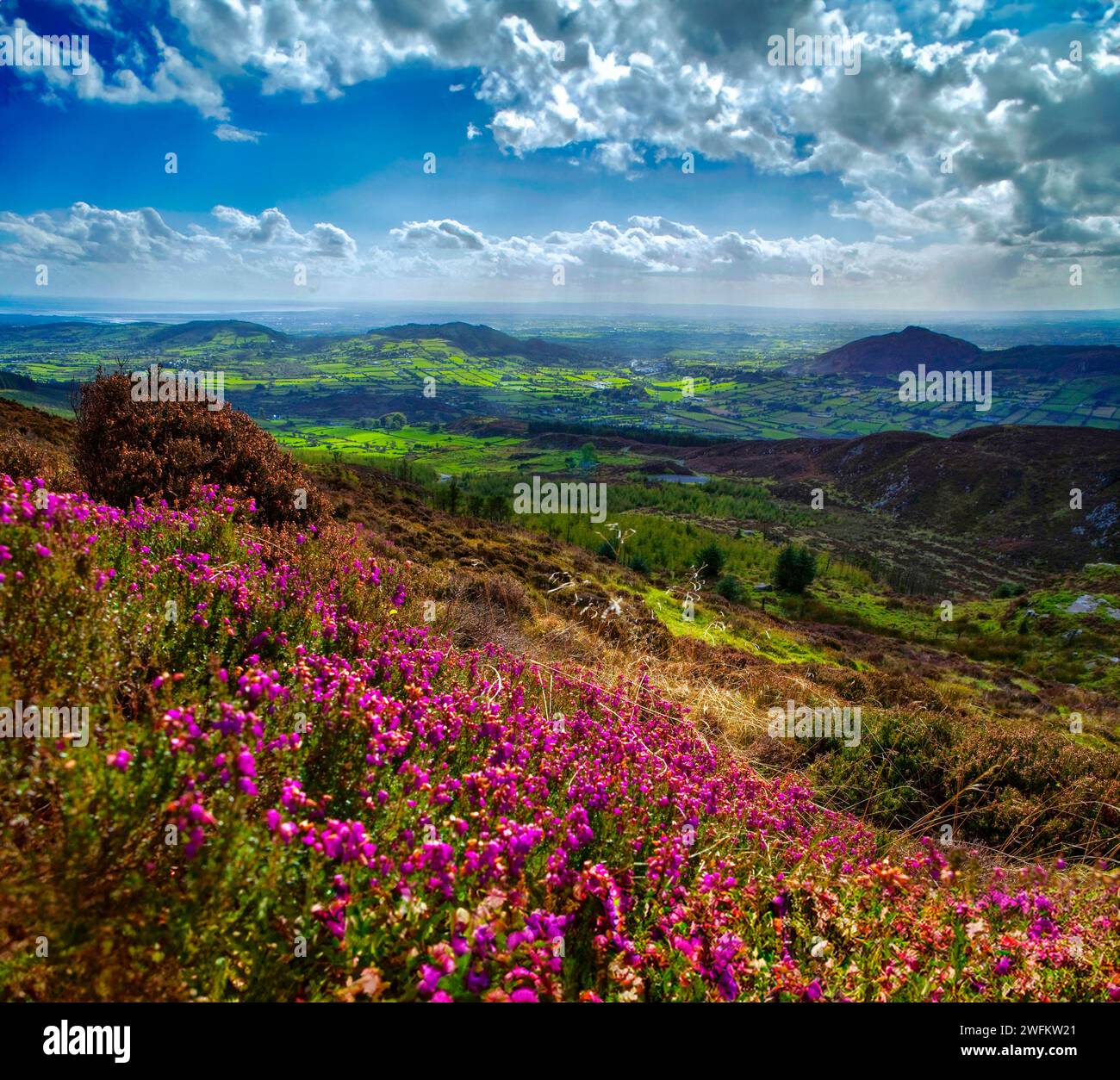 View from Slieve Gullion Ring of Gullion South Armagh Northern Ireland Stock Photo