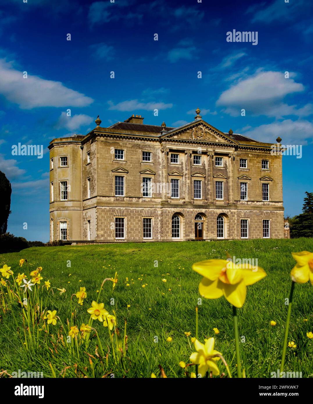 Springtime at Castle Ward, County Down, Northern Ireland Stock Photo