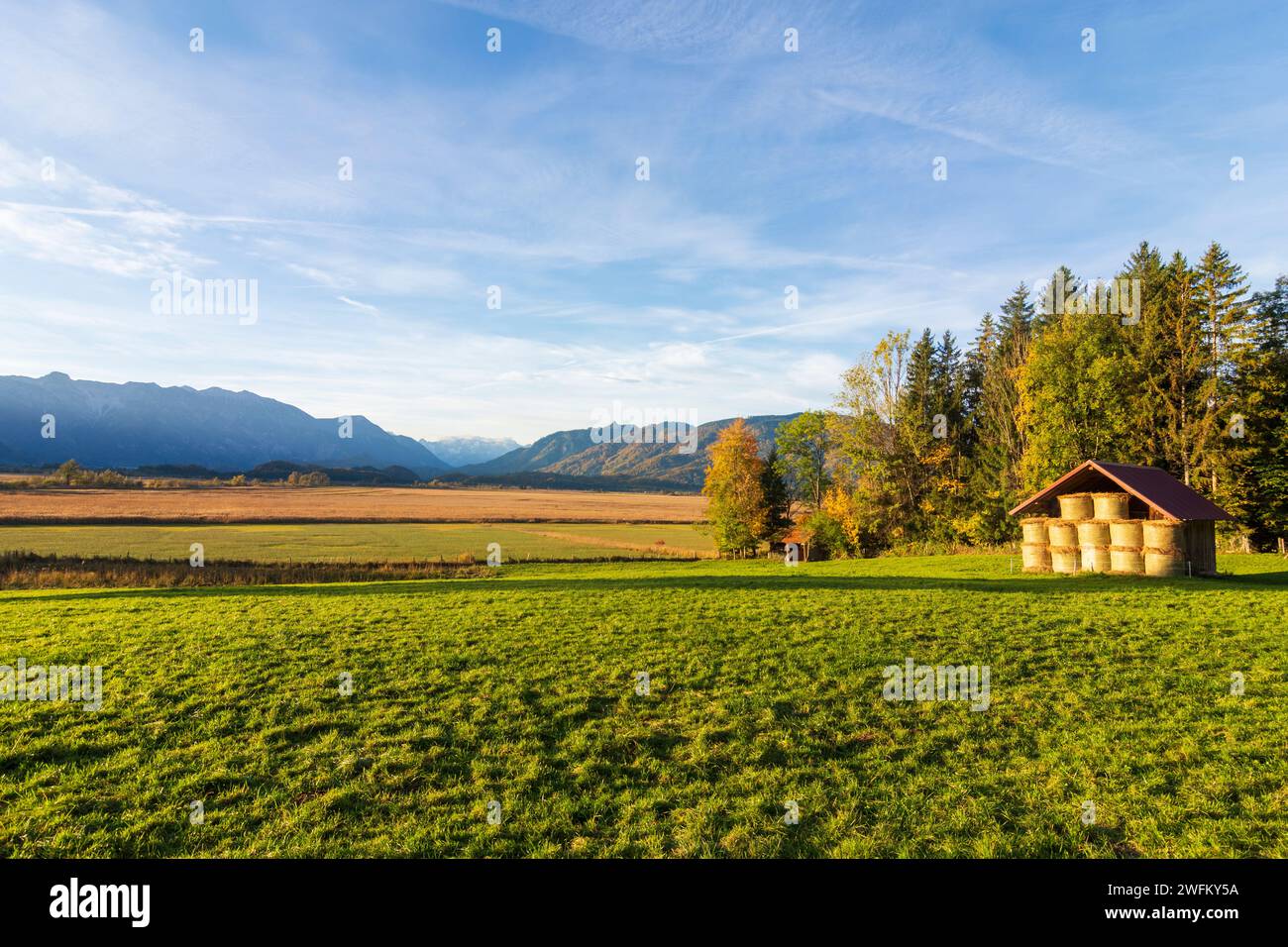 Murnau am Staffelsee: bog Murnauer Moos at sunrise, Alps, barnes in Oberbayern, Pfaffenwinkel, Upper Bavaria, Bayern, Bavaria, Germany Stock Photo