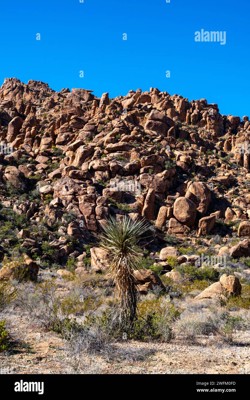 View of rocks along the trail to the Balanced Rock formation. Big Bend ...