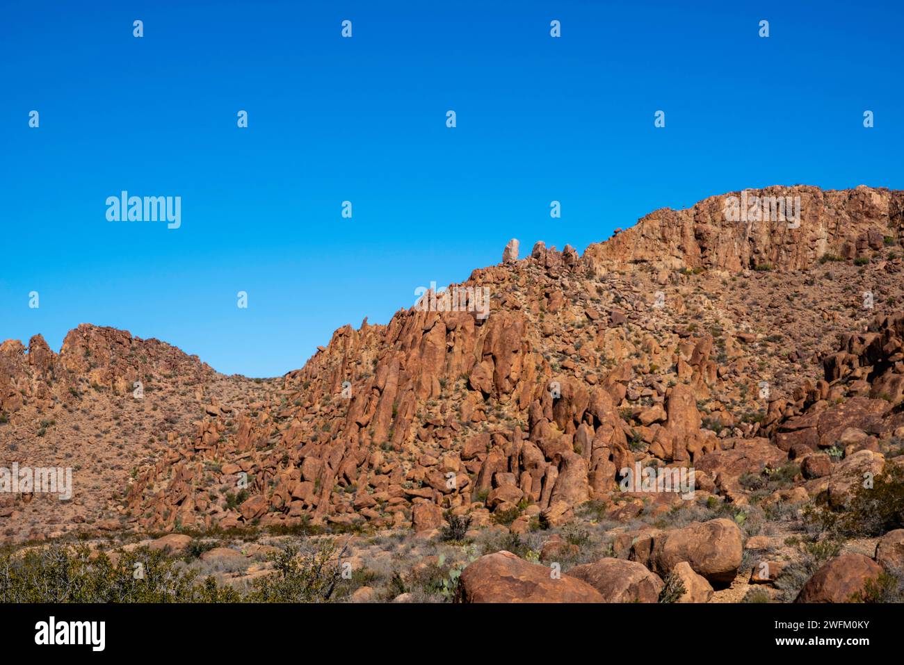 View of rocks along the trail to the Balanced Rock formation. Big Bend ...