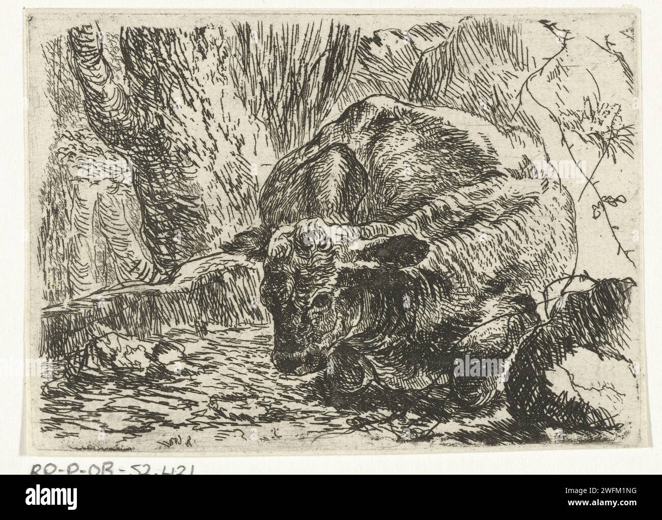 Cow, Joannes Fijt, c. 1621 - 1661 print unknown paper etching cow Stock ...