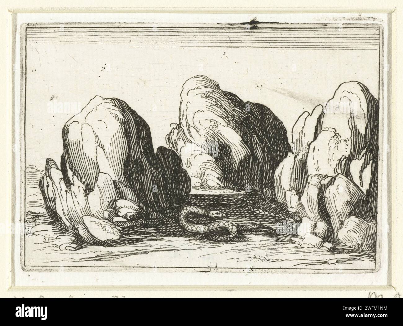 Vervellende Slang, Jacques Callot, 1621 - 1635 print Presentation of a snake between the rocks; The old sheet of which he has just stripped is right next to him. This magazine is part of the emblem series 'Monastic Life in Emblemen'. In addition to an illustrated title page and 26 emblems, the second state of this series is a title page and a magazine with assignment, both in book print without image. Nancy paper etching snakes. animals (+ shedding of skin of animal(s)) Stock Photo
