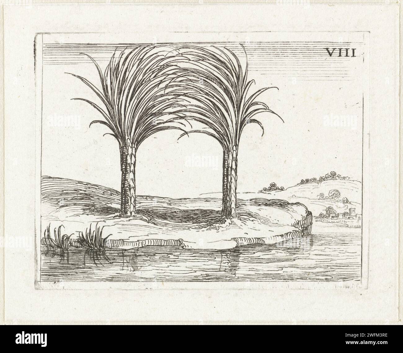 Two palm trees, Jacques Callot, 1646 print Presentation of two palm trees that stand next to each other along a waterfront, the crowns intertwined. This magazine is part of the emblem series 'Life of Maria in Emblemen'. In addition to a title page and 26 emblems, the first state of this series also includes three blades with hymns on Maria in book print without image. print maker: Nancypublisher: Paris paper etching trees: palm-tree Stock Photo