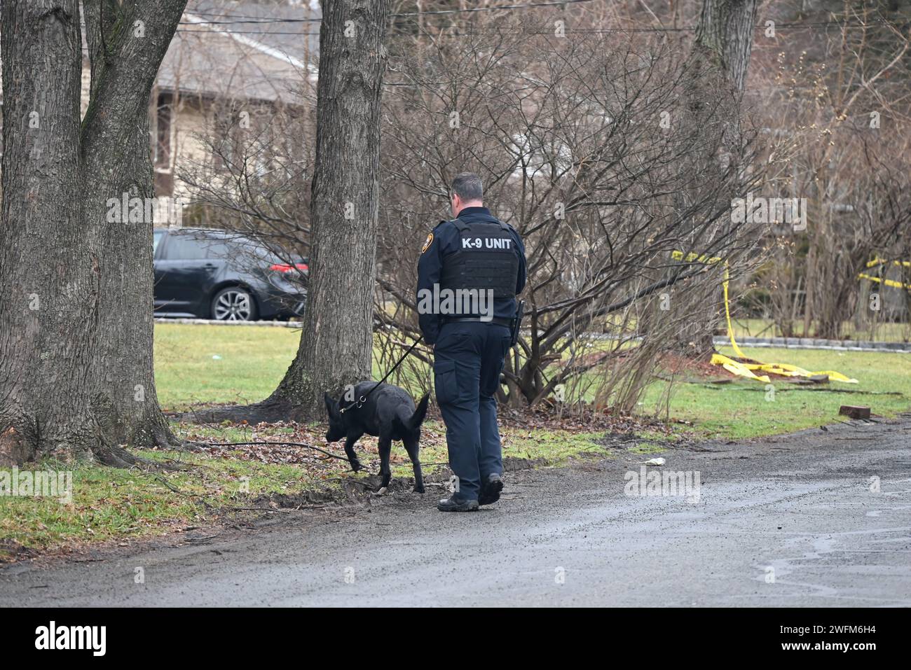 Ramapo, United States. 31st Jan, 2024. Authorities and K9 units converge on the scene of the fatal shooting, Wednesday morning. Police are searching for a shooter after a woman was shot and killed in Ramapo. Authorities responded to the scene on Inwood Drive at approximately 9:00 a.m. Wednesday morning and the victim was taken to the hospital where the female victim was pronounced dead. Any witnesses or anyone with information are asked to call Ramapo Police at 845-357-2400. (Photo by Kyle Mazza/SOPA Images/Sipa USA) Credit: Sipa USA/Alamy Live News Stock Photo