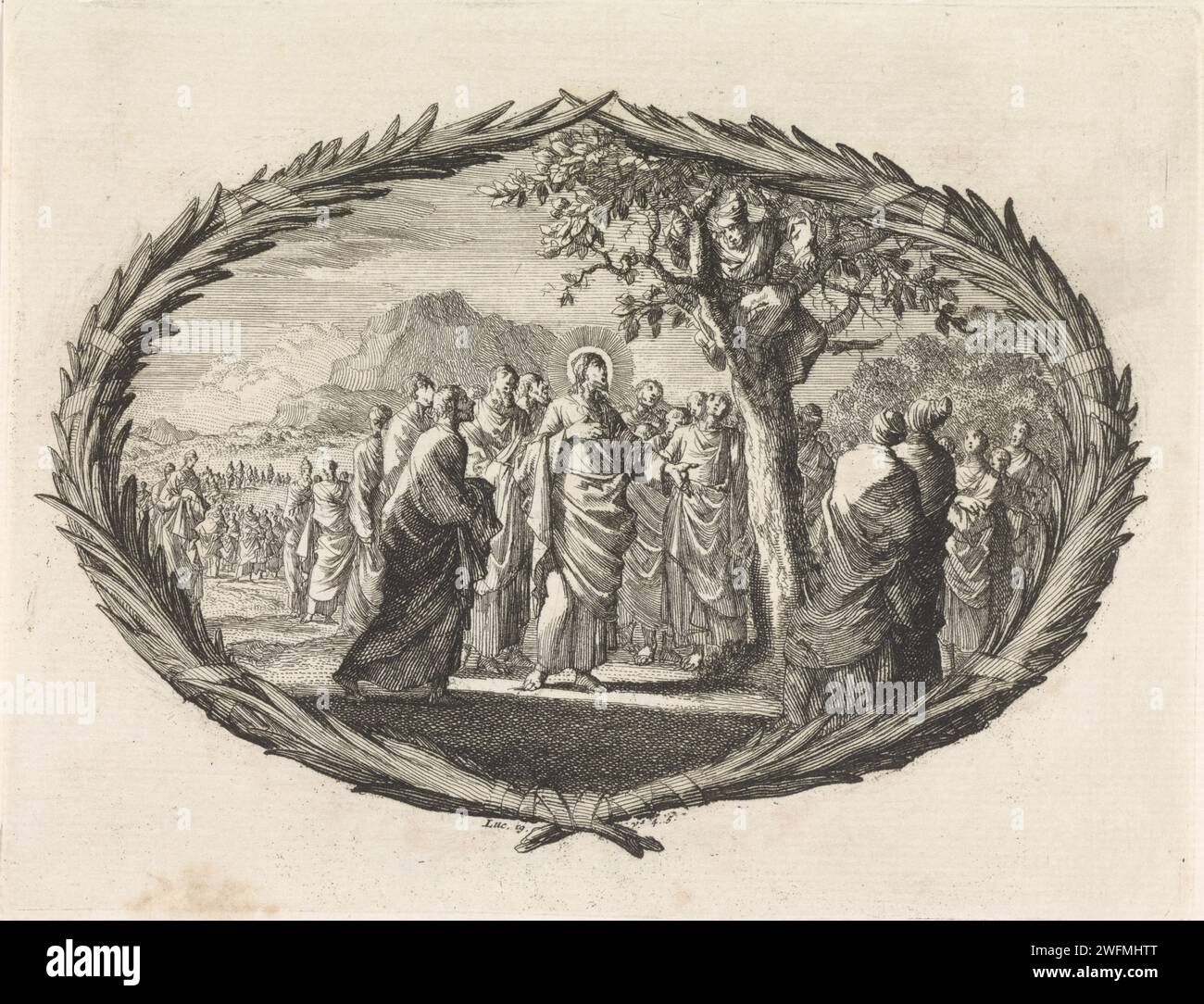 Fig Tree Illustration Bible
