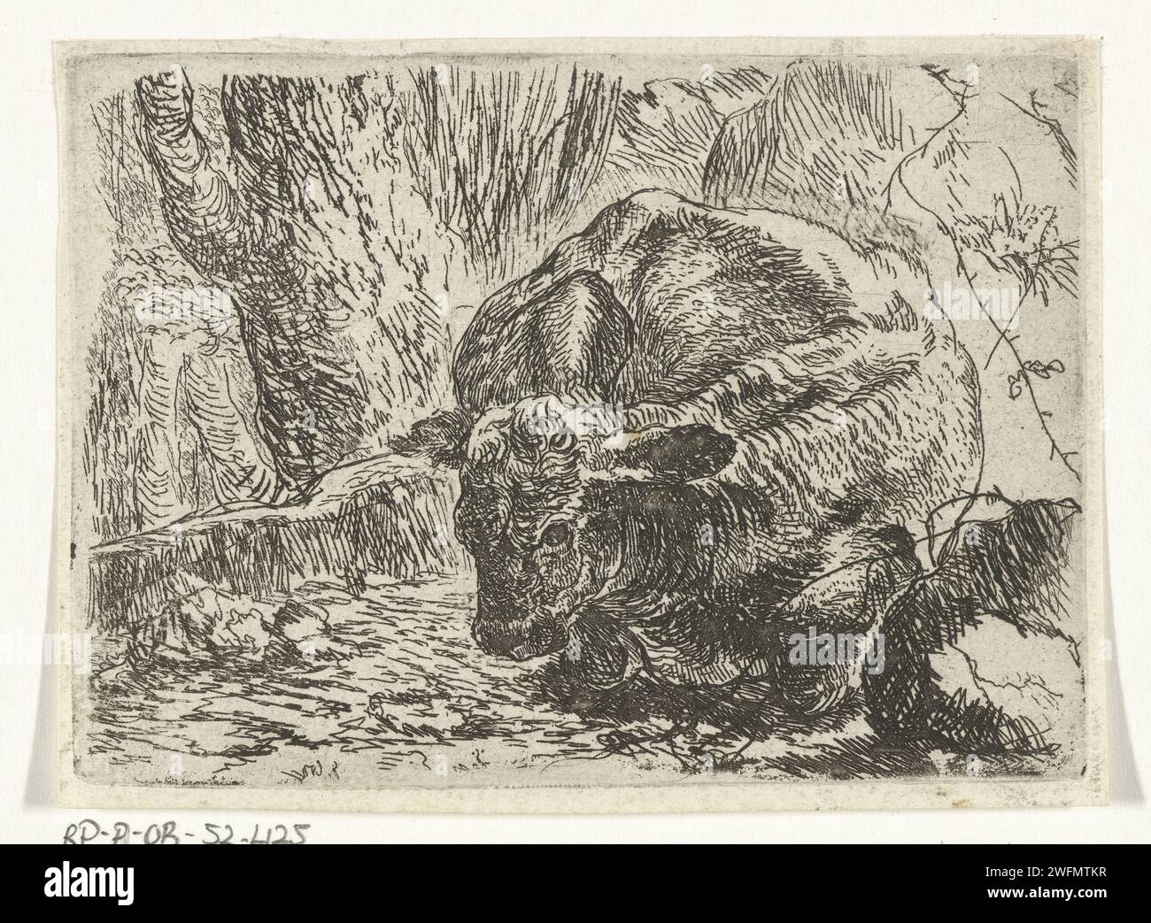 Cow, Joannes Fijt, c. 1621 - 1661 print unknown paper etching cow Stock ...