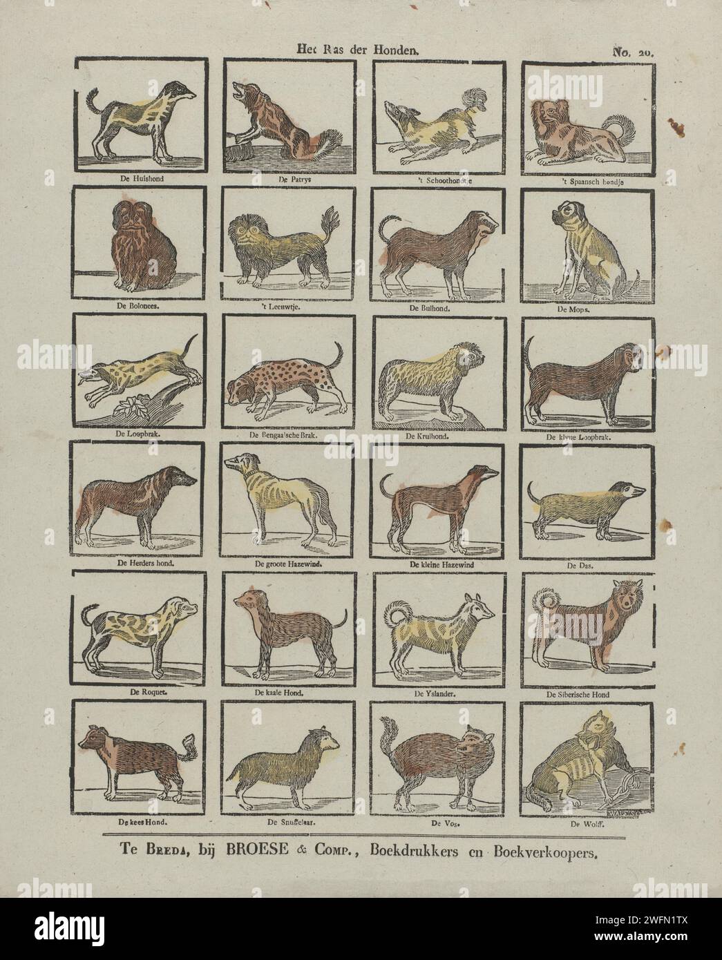 Het Ras der Dogs, Johannis Waleson, 1828 - 1853 print Leaf with 24 performances of various dog breeds, including the house dog, 't Schoothondje and the pugs. Under each image the breed name. Numbered at the top right: No. 20. Breda paper letterpress printing dog Stock Photo