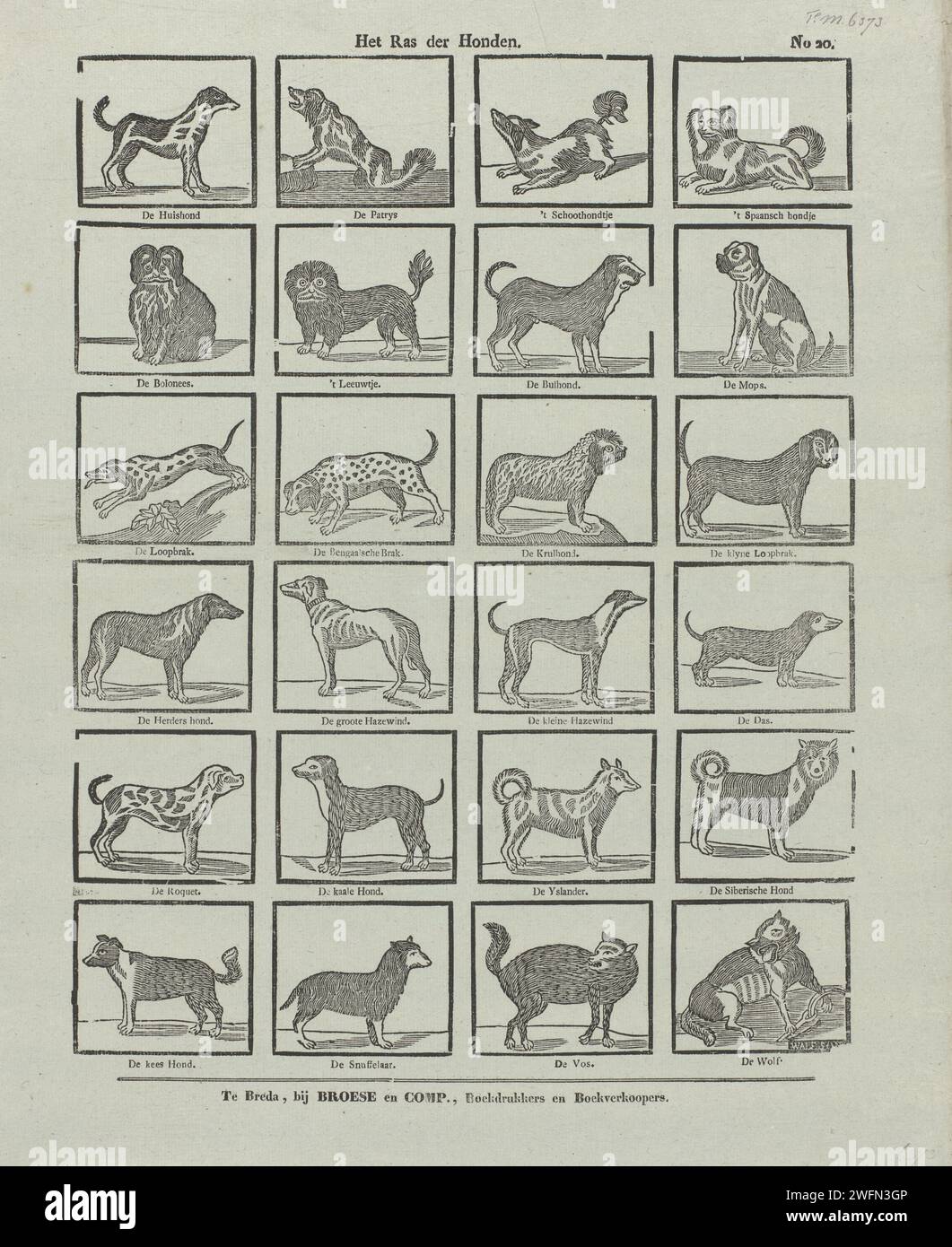 Het Ras der Dogs, Johannis Waleson, 1828 - 1853 print Leaf with 24 performances of various dog breeds, such as the house dog, 't Schoothondje and the pugs. Under each image the breed name. Numbered at the top right: No. 20. Breda paper letterpress printing dog Stock Photo