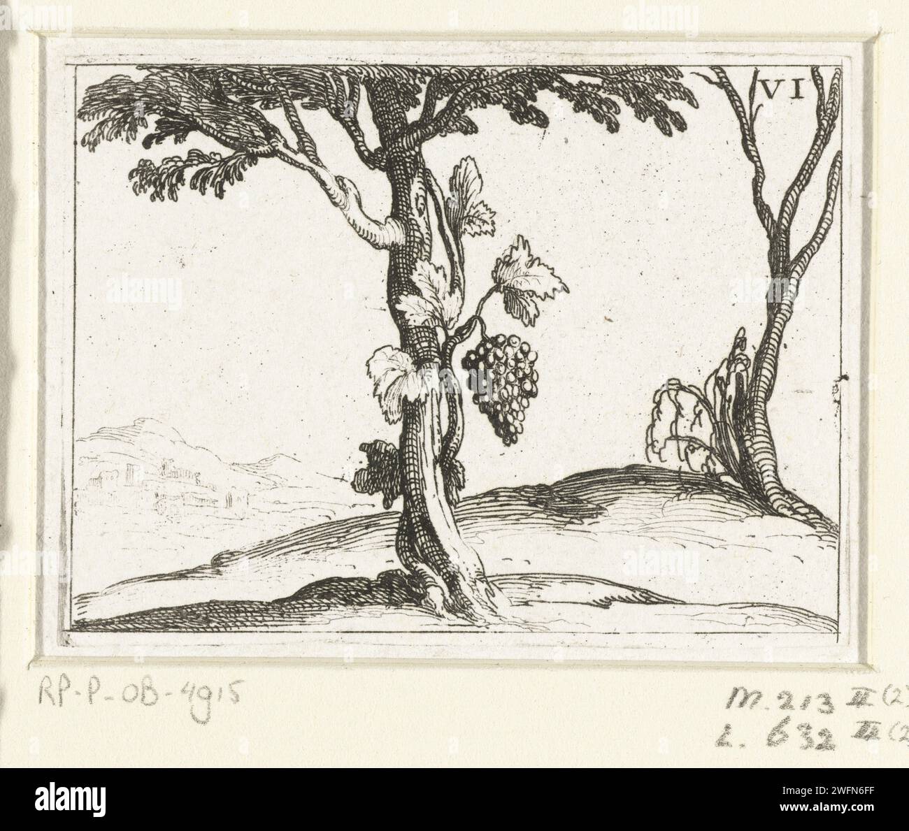 Wijnstok near a tree, Jacques Callot, 1646 print Presentation of a wine rank that winds around a tree. This magazine is part of the emblem series 'Life of Maria in Emblemen'. In addition to a title page and 26 emblems, the first state of this series also includes three blades with hymns on Maria in book print without image. print maker: Nancypublisher: Paris paper etching vine. bunch of grapes. trees Stock Photo