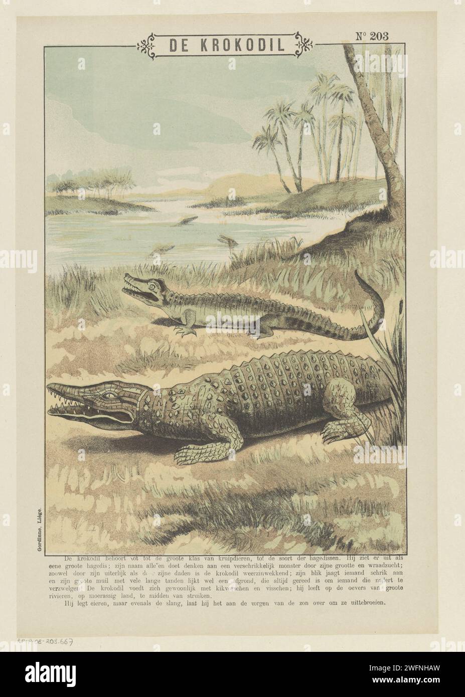 Vintage felső - Krokodil Vintage felső - Krokodil